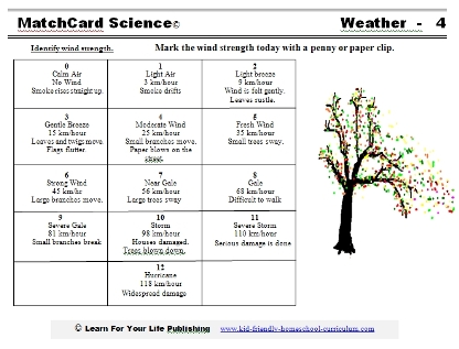 Beaufort Wind Scale Chart