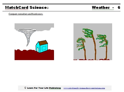 similarities between hurricanes and tornadoes