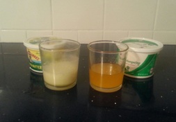 margarine butter experiment