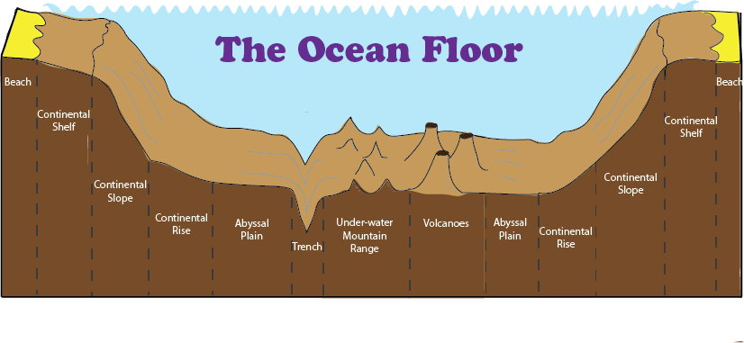 Diagram Of The Ocean Floor