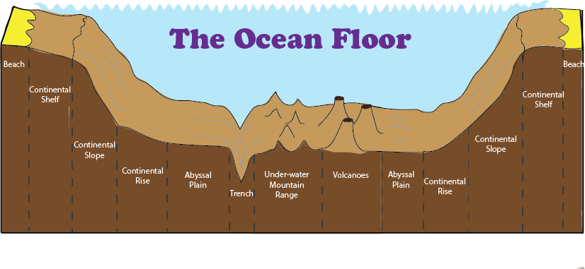 Ocean Floor Diagram