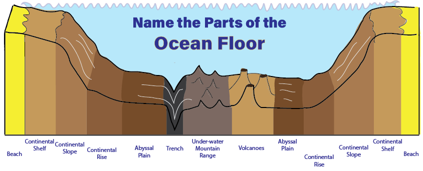 Diagram Of The Ocean Floor