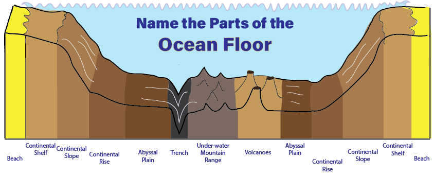 Parts of the Ocean Floor Diagram