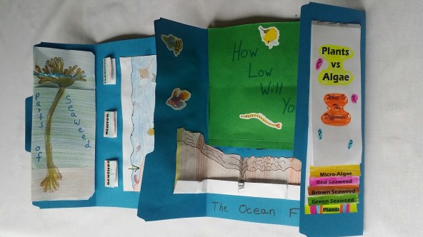 Inside of the Ocean Lapbook