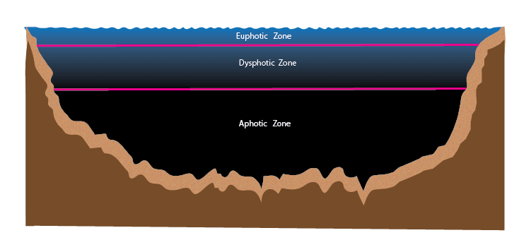 ocean zones diagram
