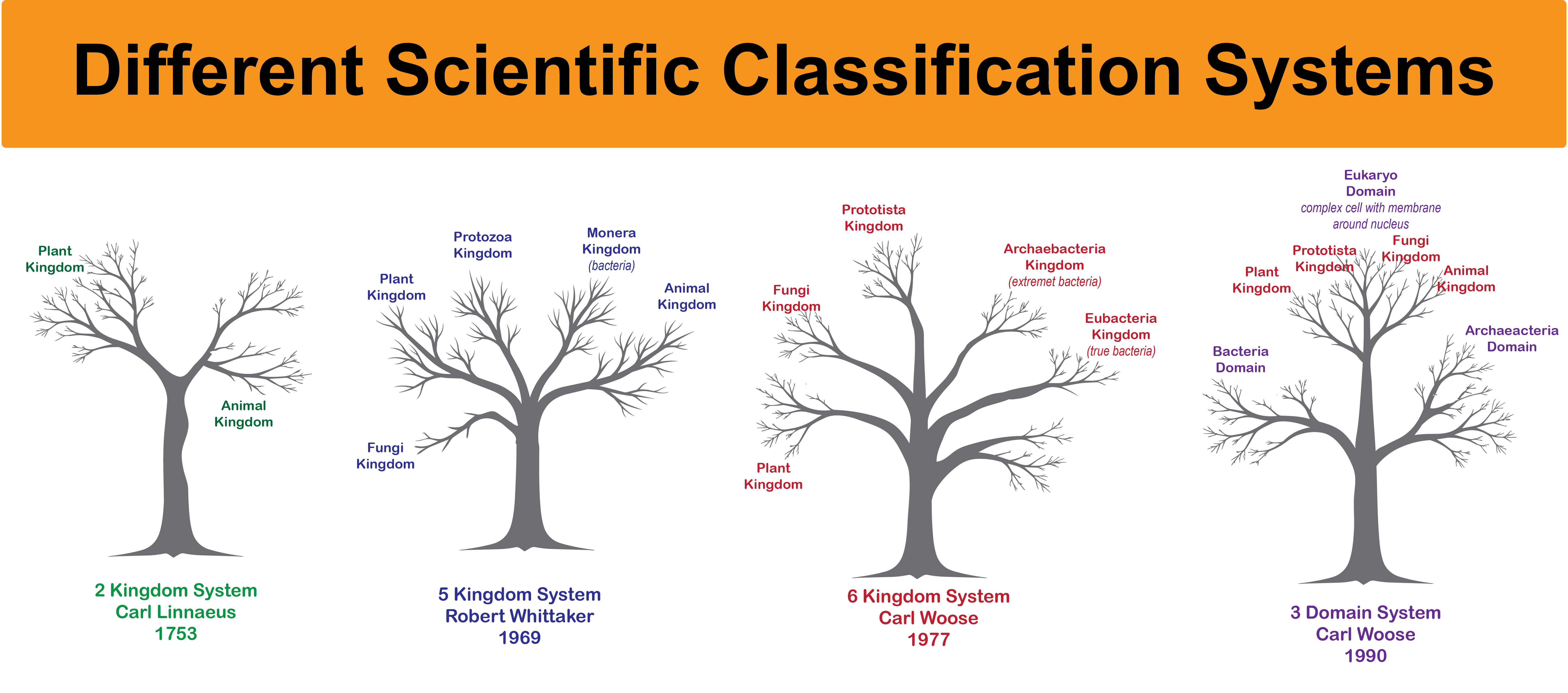 4 Scientific Classification Schemes