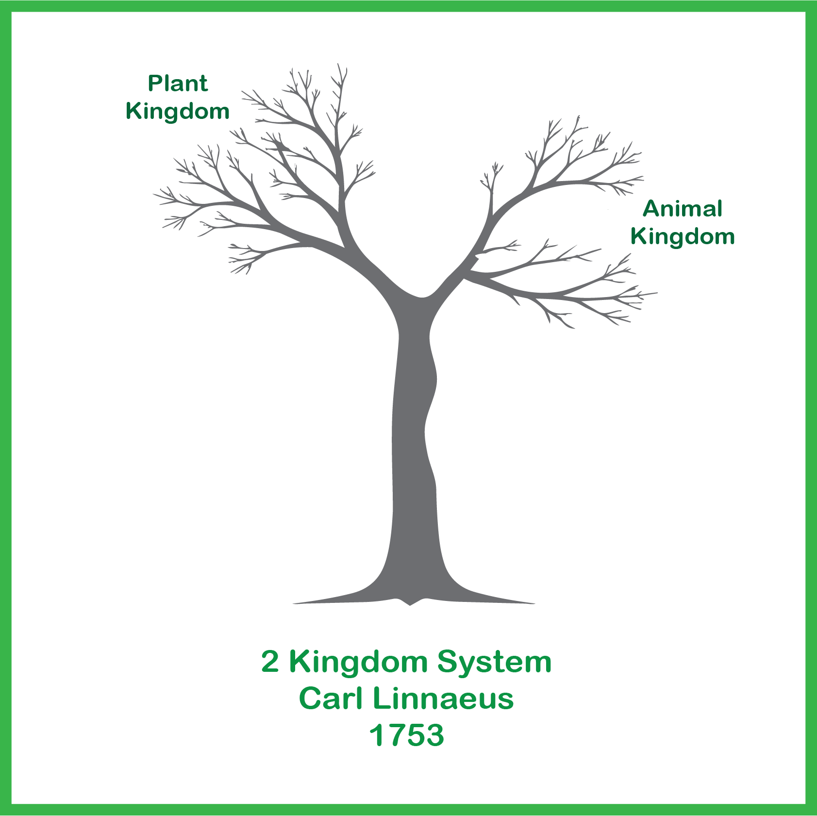 Original Taxonomy 2 Kingdoms