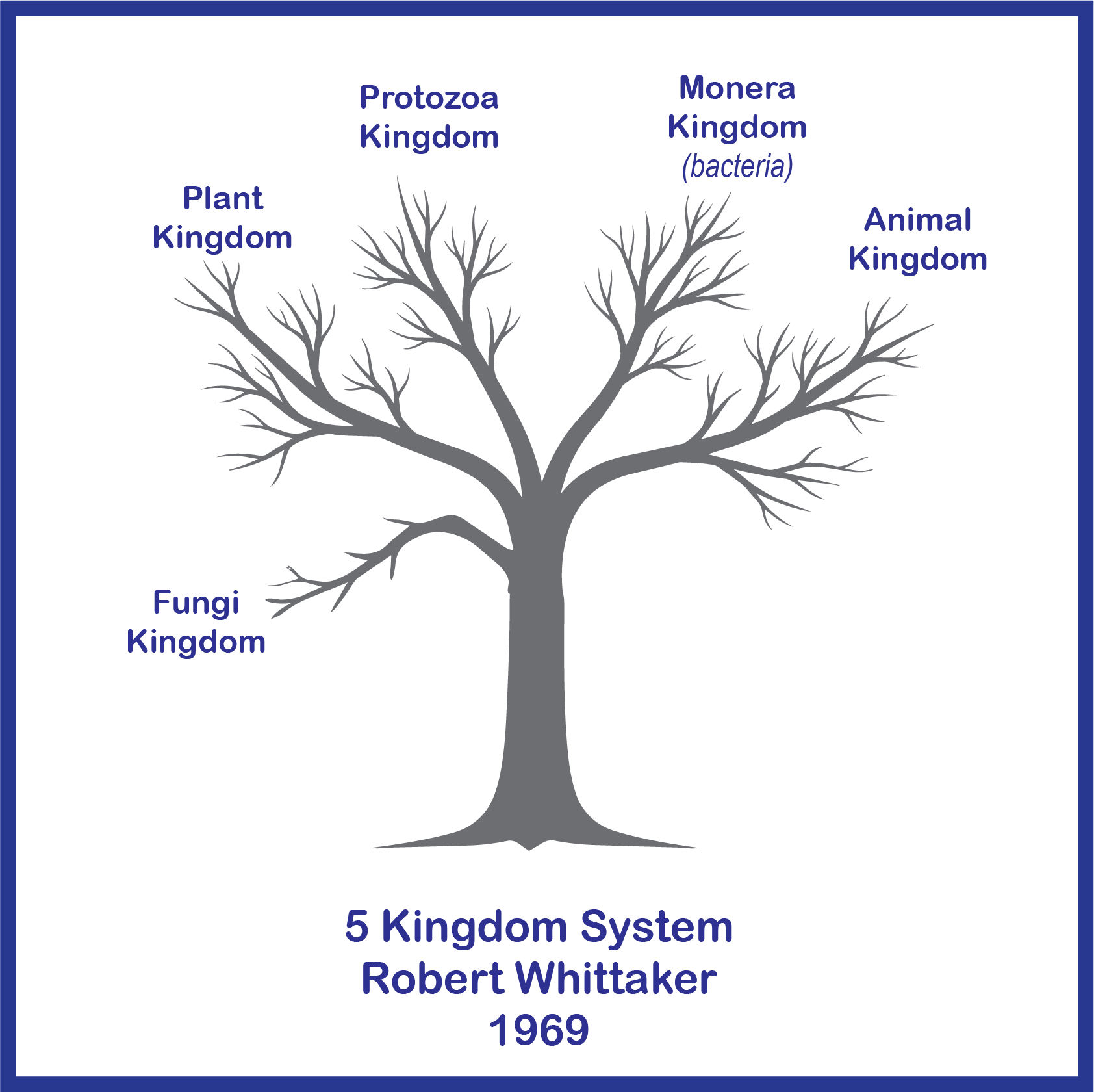 1969 Taxonomy 5 Kingdoms