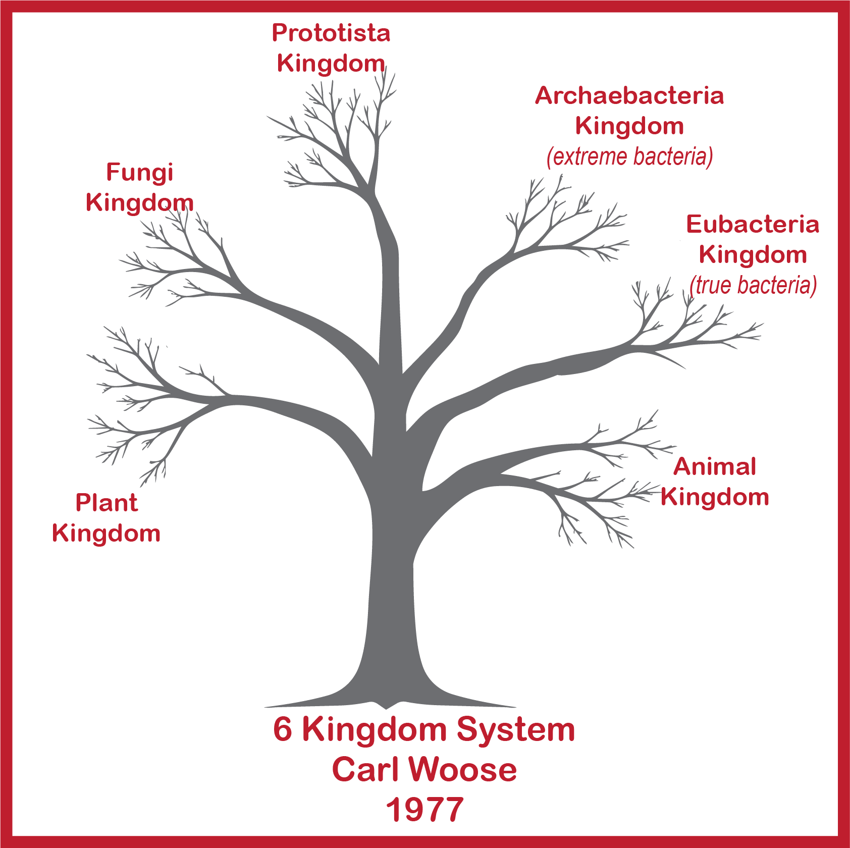 1977 Taxonomy 6 Kingdoms