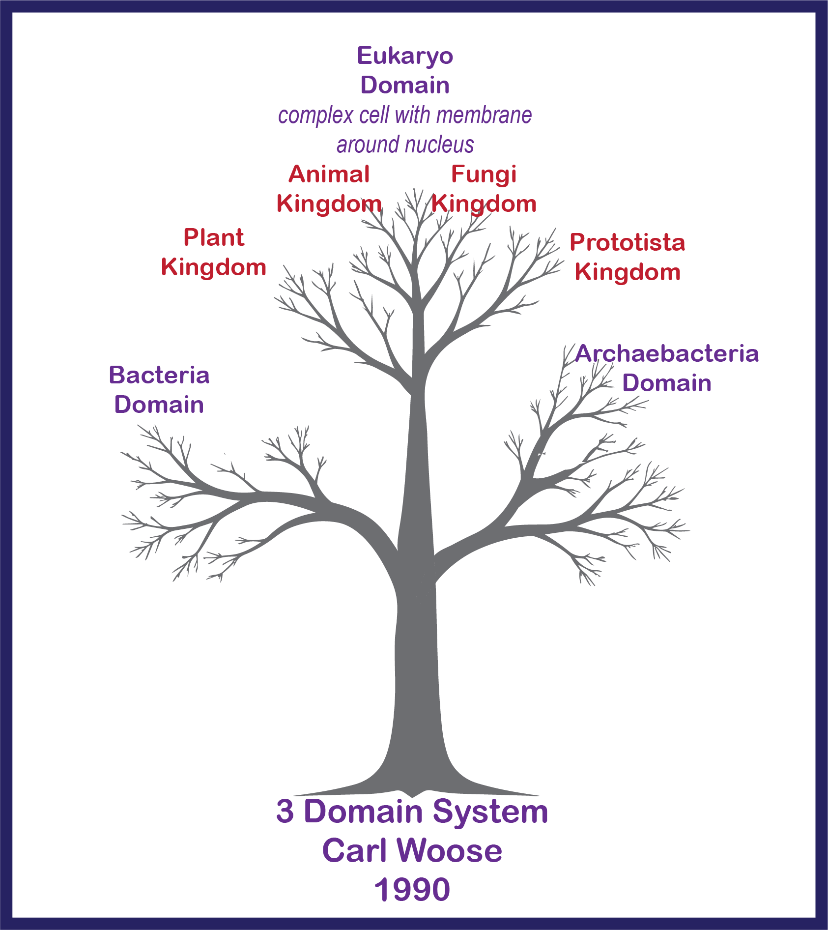 Modern Taxonomy 3 Domains