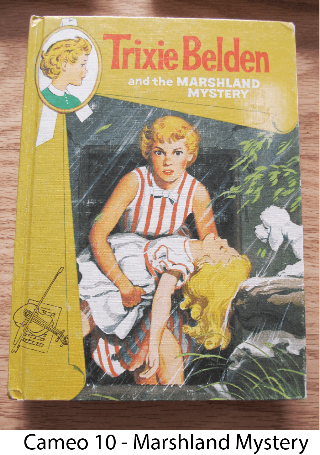 Cameo Marshland Mystery Cover