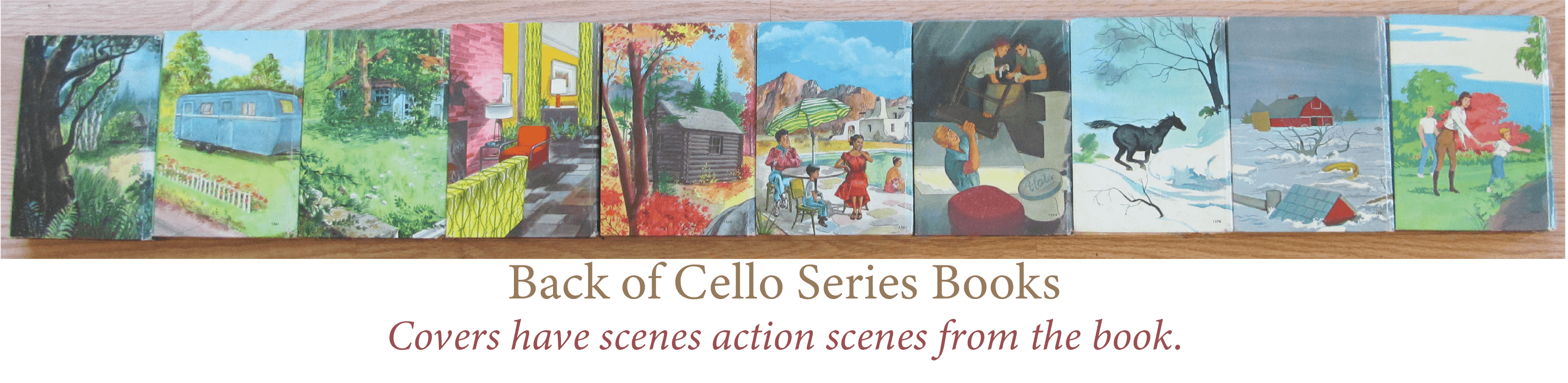Trixie Belden Cello Series Back of Books