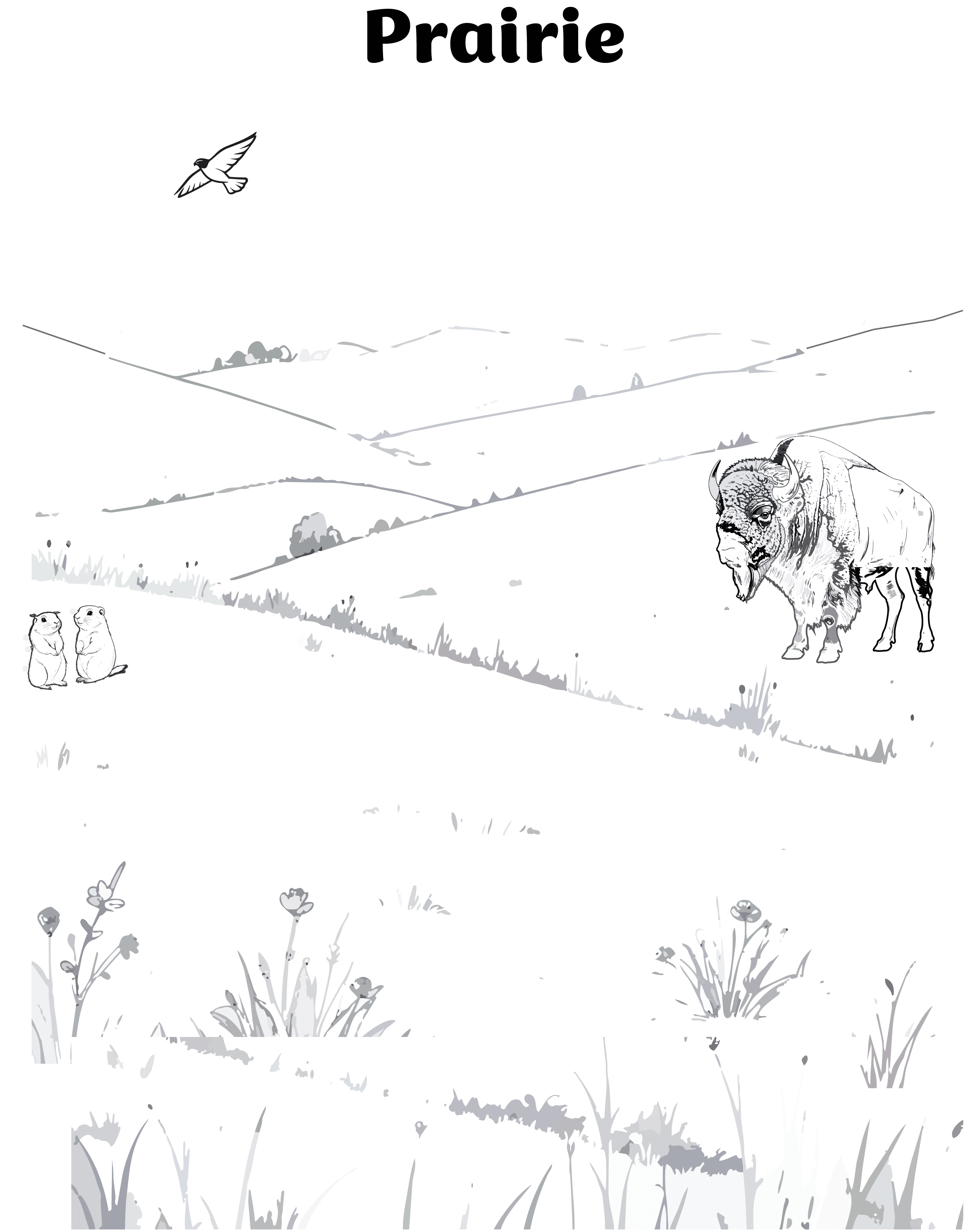 Prairie Coloring Page