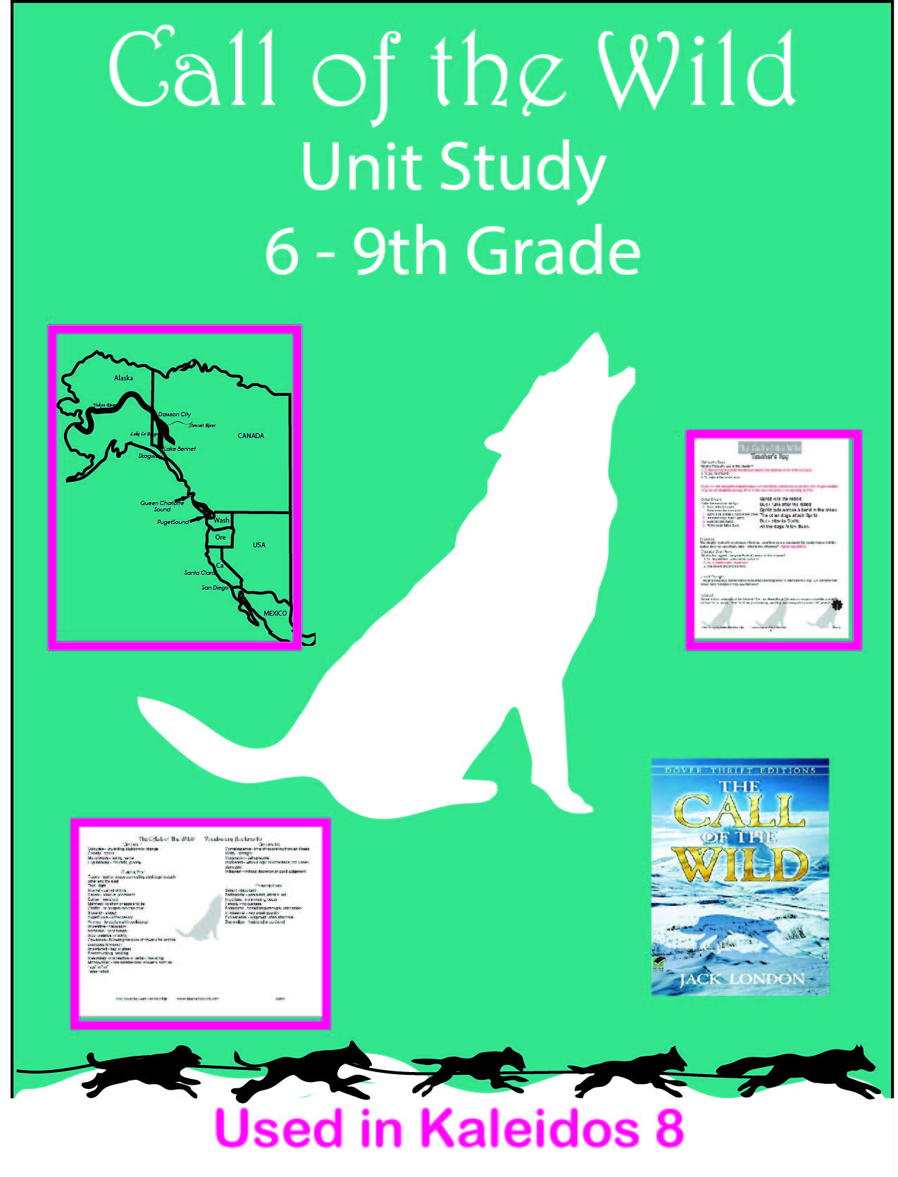 Call of the Wild Unit Study Poster