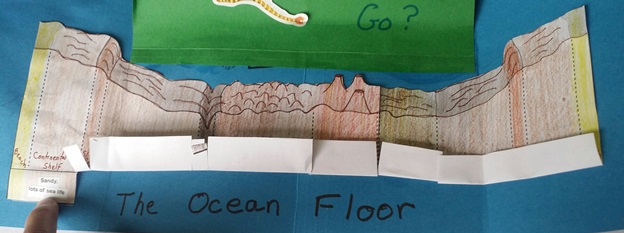 Ocean Floor Lapbook