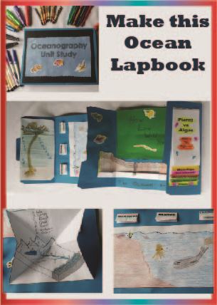 Colorful Ocean Lapbook